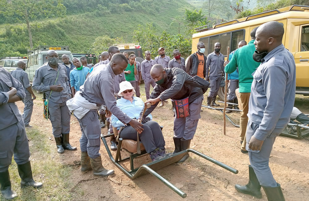 Gorilla Trekking for the Elderly and Disabled