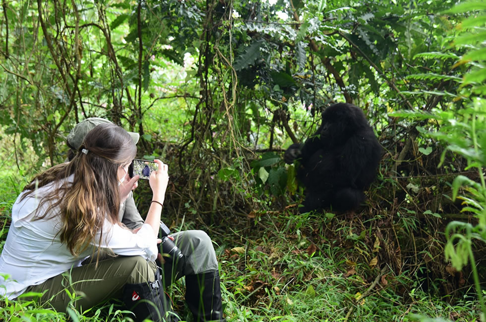 How Difficult Is Gorilla Trekking?